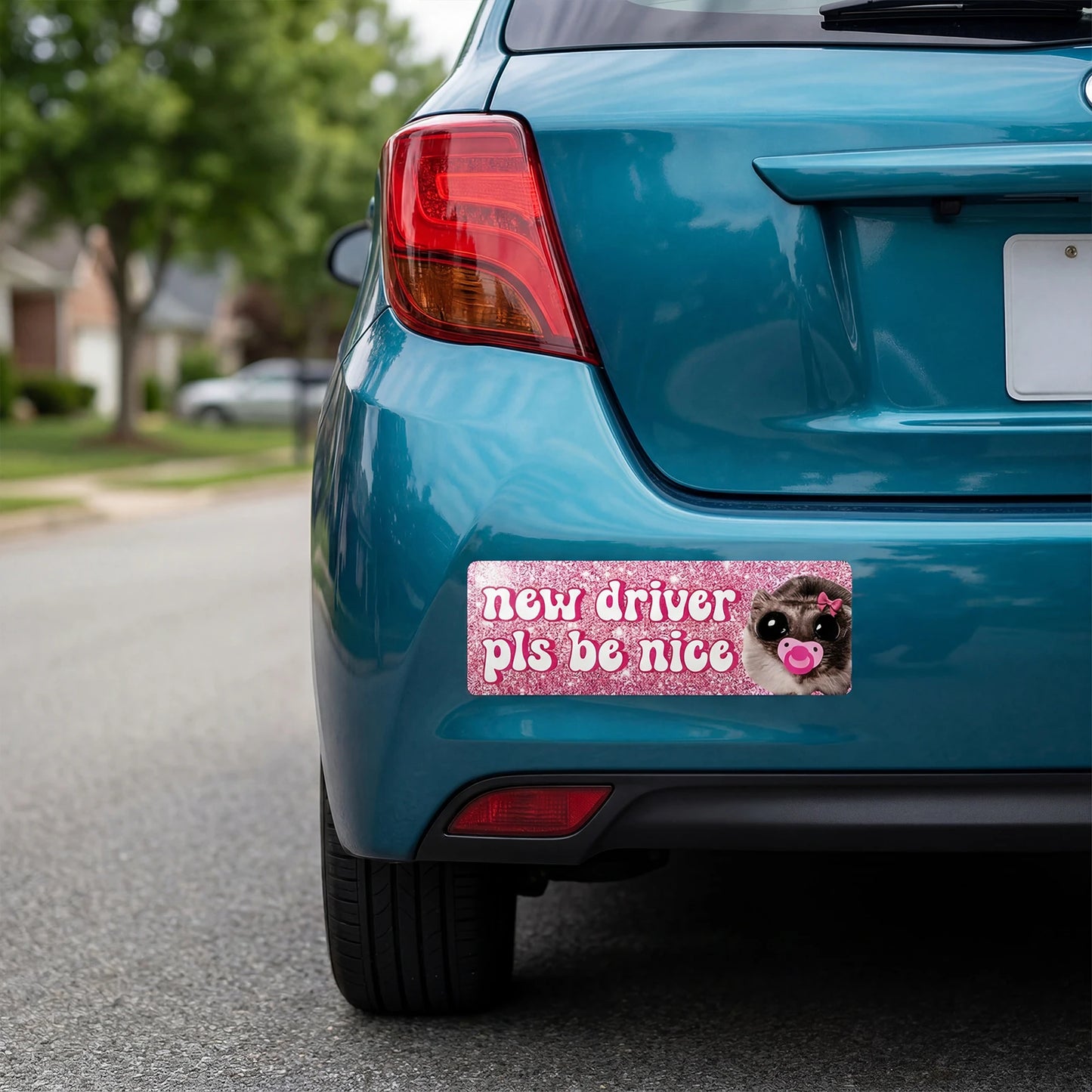 Cat New Driver Magnet Set 5Pcs – Waterproof UV-Resistant Car Decals