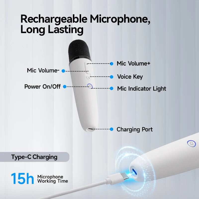 BYD Official Car Microphone with Receiver
