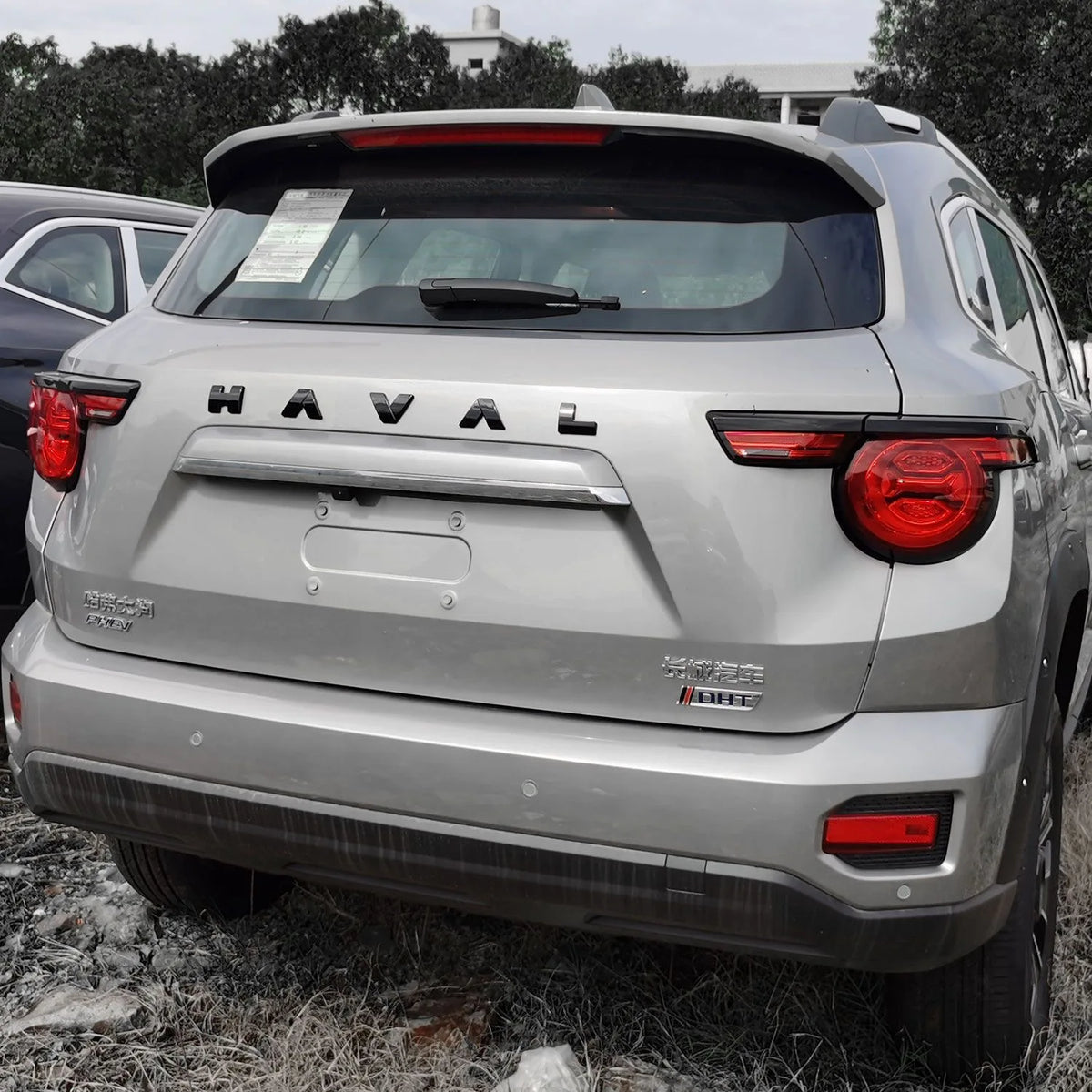 Haval H6 PHEV Front Grille and Rear Emblem Set