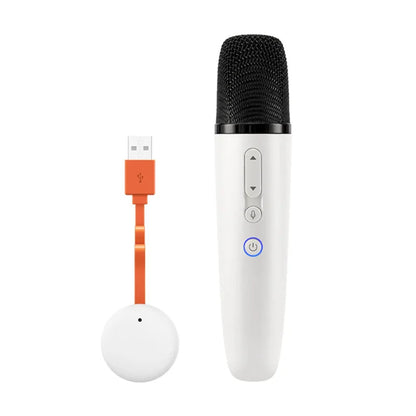 BYD Official Car Microphone with Receiver