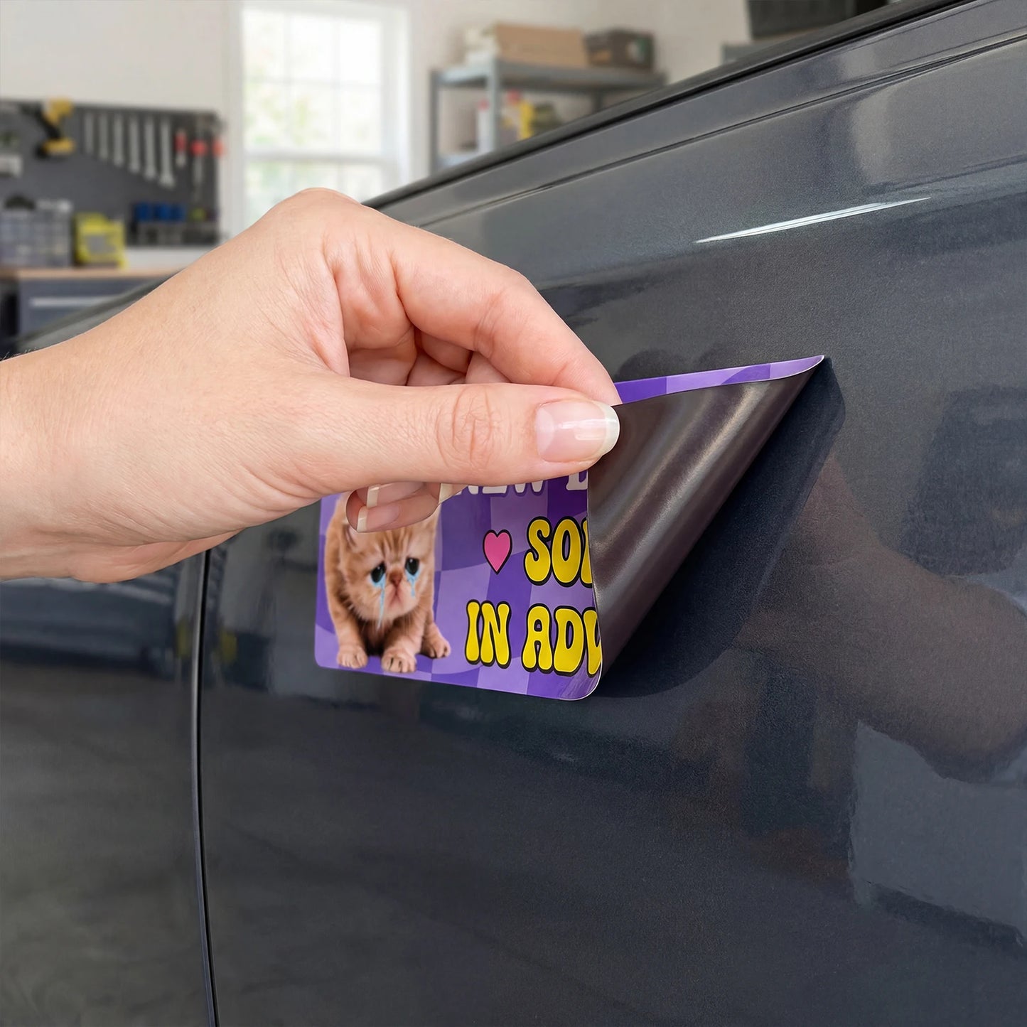 Cat New Driver Magnet Set 5Pcs – Waterproof UV-Resistant Car Decals