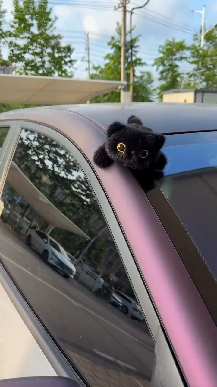Magnetic Car Animal Plush Toys