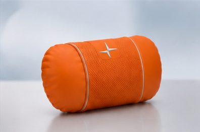 Polestar Car Neck Pillow and Lumbar Support Cushion Set